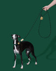 Vetreska Connect Hands-Free Rope Leash - Santal Forest