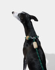 Vetreska Connect Hands-Free Rope Leash - Santal Forest