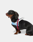 Vetreska Mist & Merlot Quick Fit Harness & Leash Set