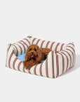 Vetreska Mist And Merlot Pet Sofa - Cream & Stripes
