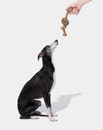 Vetreska Playful Charm Knot Rope Toy - Coffee