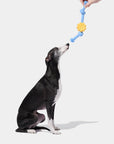 Vetreska Playful Charm Knot Rope Toy - Daisy