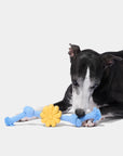 Vetreska Playful Charm Knot Rope Toy - Daisy