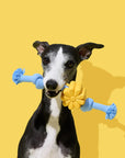 Vetreska Playful Charm Knot Rope Toy - Daisy