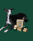 Vetreska Santal Forest Poop Bags & Dispenser Set