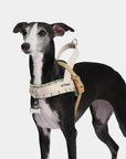 Vetreska Santal Forest Pet Harness & Leash Set
