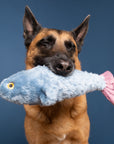 Fluff & Tuff Fitz Fish