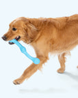 West Paw - Zwig®