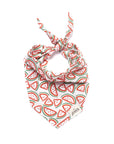 The Paws - Picnic Watermelon Dog Bandana