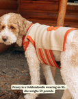Lucy & Co. - Oh My Gourd Sweater