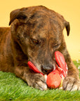 the furryfolks - Hot Doggie Nosework Toy