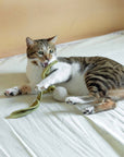 Lambwolf Collective - RADISH//CAT TOY: S/ CREAM