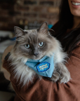 Scout's Honour Pty Ltd - Aloof Floof iron-on patch for dogs and cats