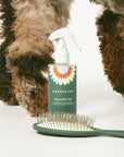 Dandylion - Smooth Coat Detangling & Conditioning Spray