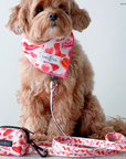 Lucy & Co. - Howdy, Honey Bandana