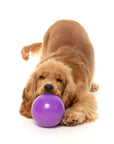 FuzzYard Truth Tellin' Treat Ball Dog Chew Toy