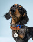 Freshwater Curated Goods™ - I'm Just A Baby Pet Tag