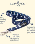 Lucy & Co. - Shark Attack Leash: Large