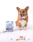 Polkadog - Clam Chowda Bits - 7oz - Dog Treats