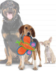 Tuffy Dog Toys - VIP Products - DuraForce Butterfly - Durable, Squeaky Dog Toy