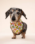 The Paws - Y2K Dog Bandana