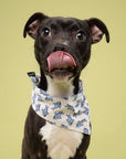 The Paws - Jawz Dog Bandana