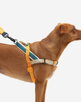 Zee.Dog - Voyage | SofterWalk Harness: Small