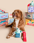 the furryfolks - Fish Express Nosework Toy