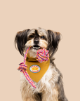 Scout's Honour Pty Ltd - Tug of War Champion iron-on patch for dogs and cats