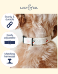 Lucy & Co. - Sipping Slowly Collar