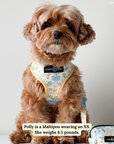 Lucy & Co. - Sunshine and Daffodils Reversible Harness