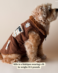Lucy & Co. - Chocolate Meadows Reversible Teddy Vest
