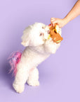 the furryfolks - Happy Bear Tofino Nosework Toy