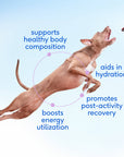 Native Pet - Goat Milk Powder Recovery & Energy Support for Active Dogs