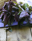 Schoepp Seeds - Basil, Purple Haze Heirloom Garden Seed Packets: Basil, Purple Opal Seed Packets