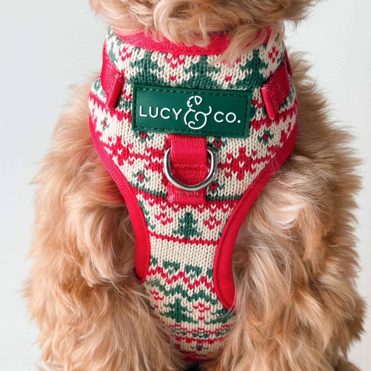 Lucy & Co. - Let it Snow No-Pull Harness – The Modern Dog Company