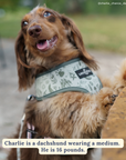 Lucy & Co. - Camp Out Reversible Harness: L