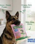 Happy Day Pets - Happy Day Pets Salmon & Sweet Potato Chips Dog Treats