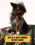 ROVERLUND - OUT-OF-OFFICE PET CARRIER PRO EDITION: BLACK CAMO / BLACK / LARGE - UP TO 25LBS
