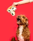 the furryfolks - Pizza Nosework Toy