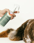 Dandylion - Fresh Coat Daily Cleansing Spray