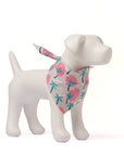 The Paws - Bingin Dog Bandana