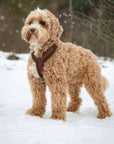 Furlou - 'Bordeaux' - Sherpa Dog Harness