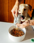 Rigby - Rigby Targeted Dog Treats, Hip & Joint Lickable Pouch