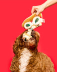 the furryfolks - Pizza Nosework Toy