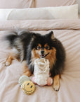 Lambwolf Collective - Roller Skate //ENRICHMENT DOG TOY