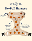 Lucy & Co. - Oh My Gourd No-Pull Harness: L