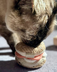Lambwolf Collective - KITTY PIZZA & BAGEL SET//cat toy: Default Title
