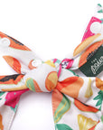 The Paws - Fruity Cooling Dog Bandana