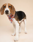The Paws - Maritime Dog Bandana